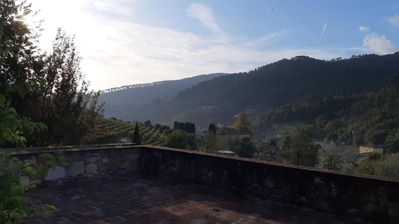 Agriturismo Alle Camelie Villa Capannori Exterior foto